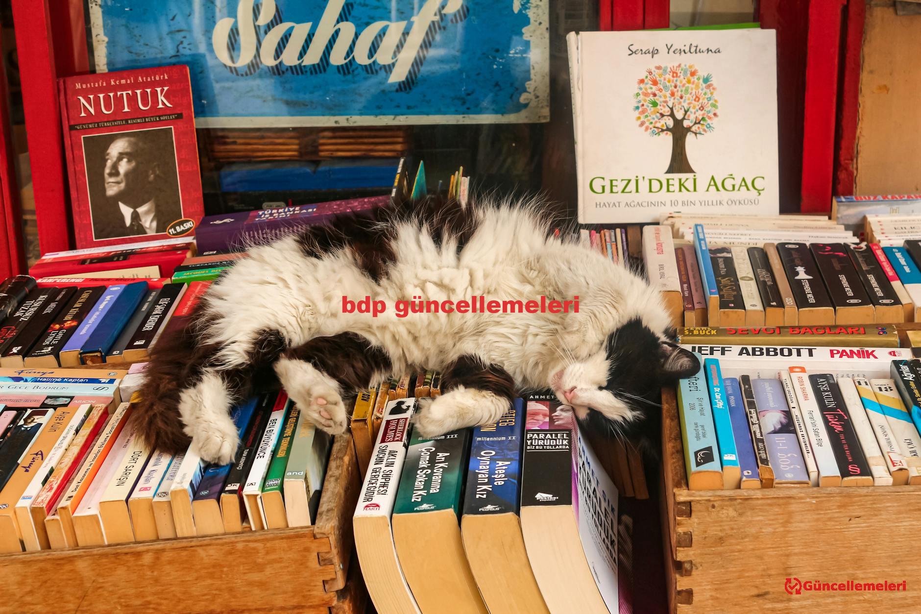 bdp güncellemeleri