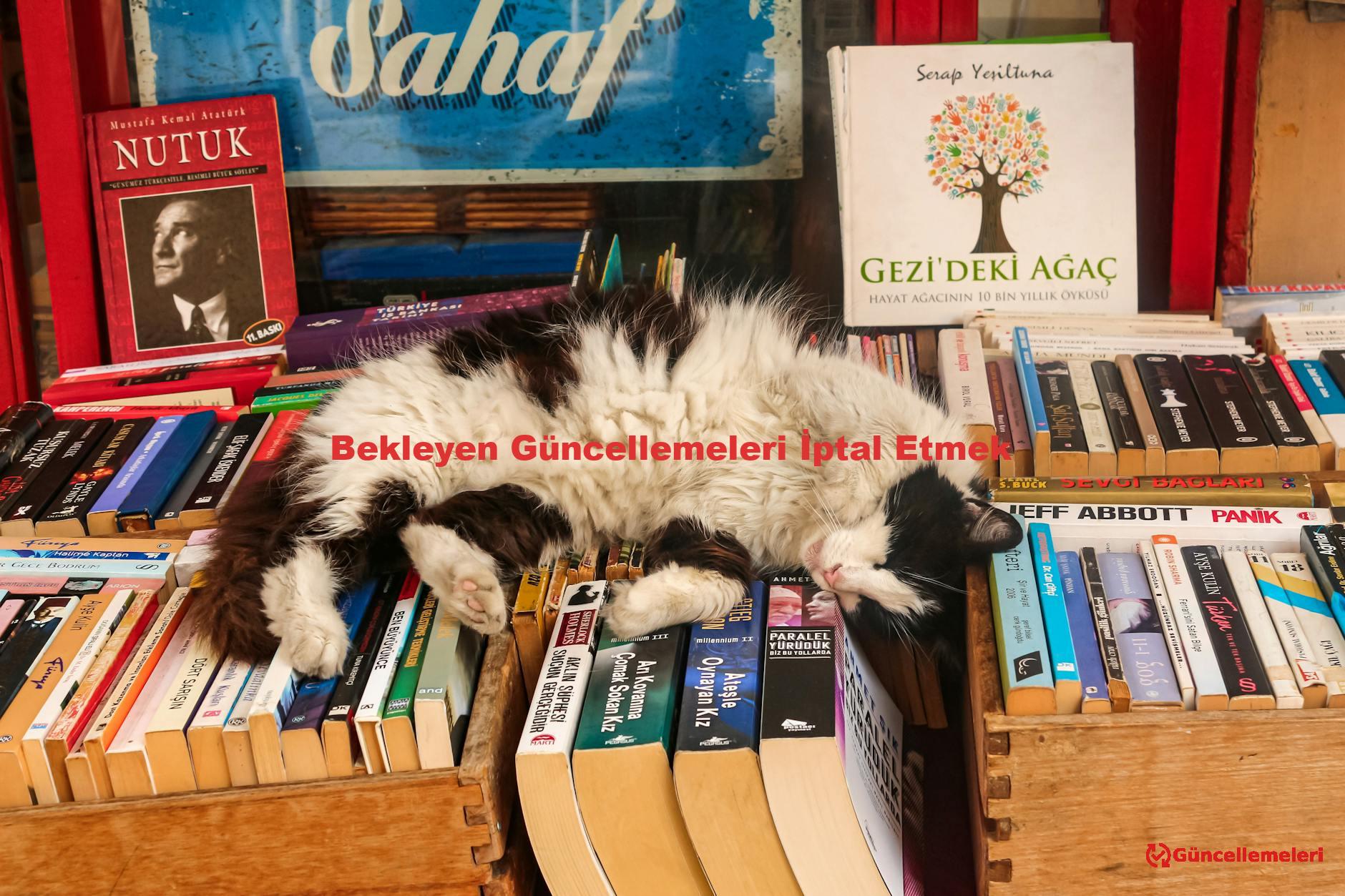 Bekleyen Güncellemeleri İptal Etmek