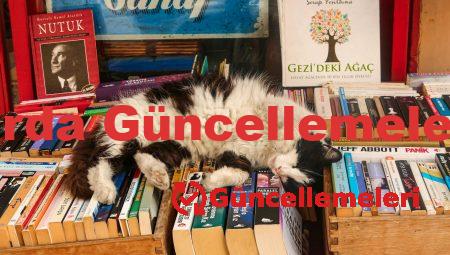 Bilgisayarda Güncellemeleri Göster