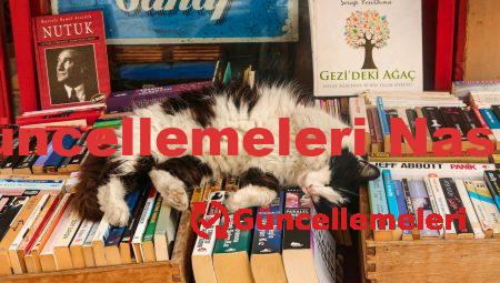 Bilgisayarda Güncellemeleri Nasıl Kapatabilirim