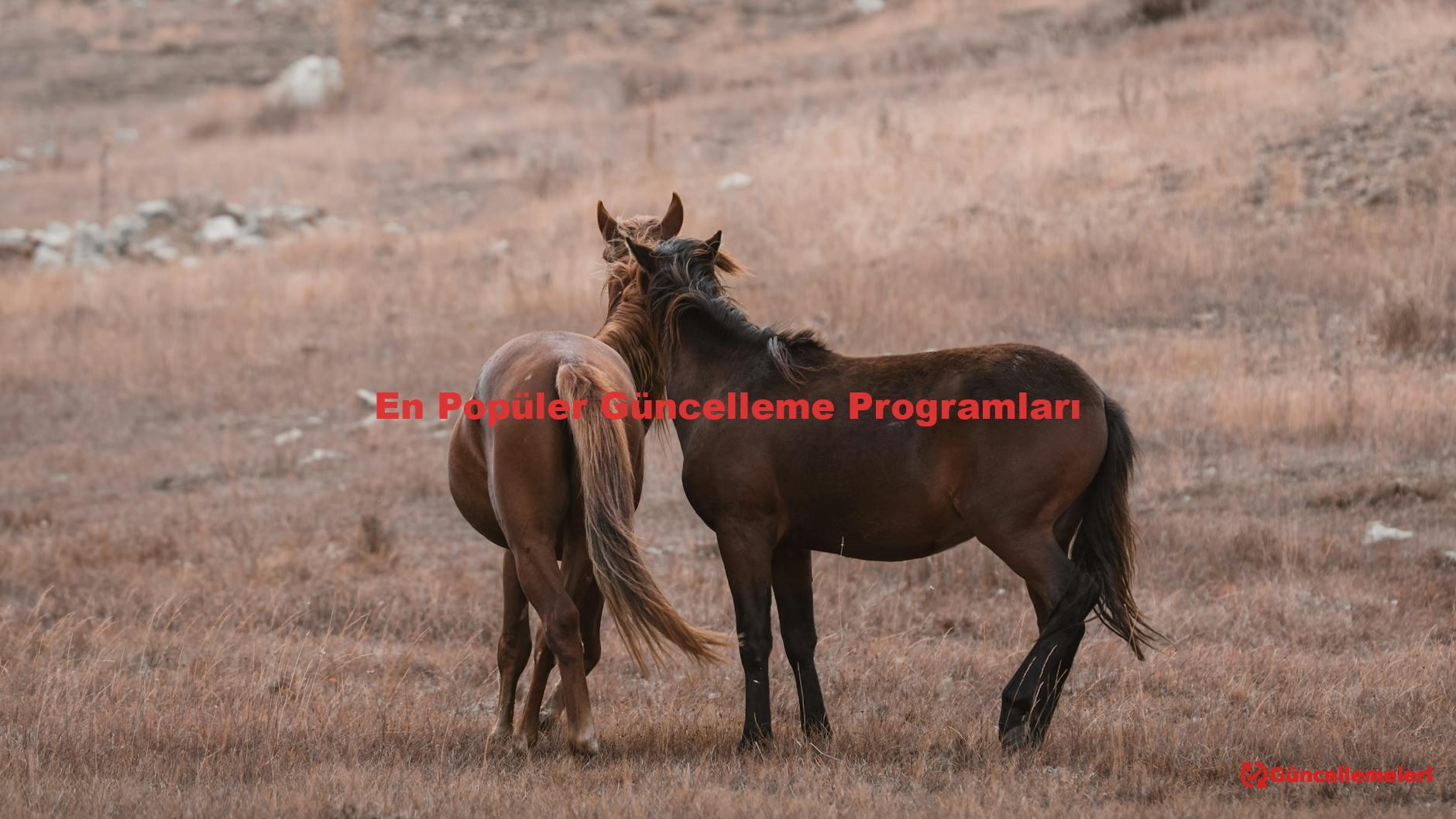 En Popüler Güncelleme Programları