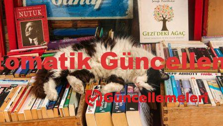 Bilgisayarda Otomatik Güncellemeleri Kapatma