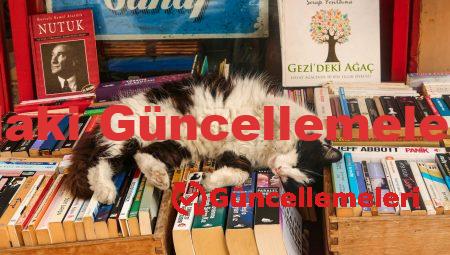 Bilgisayardaki Güncellemeleri Kapatma