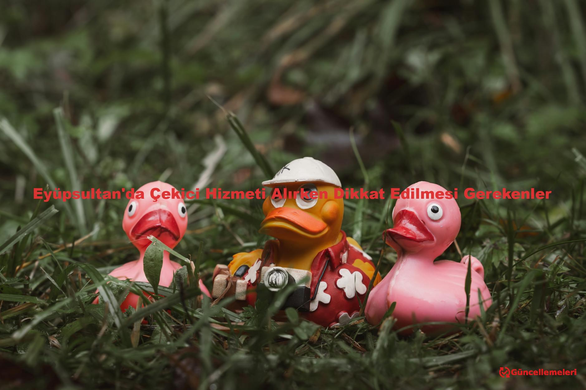 Eyüpsultan'da Çekici Hizmeti Alırken Dikkat Edilmesi Gerekenler