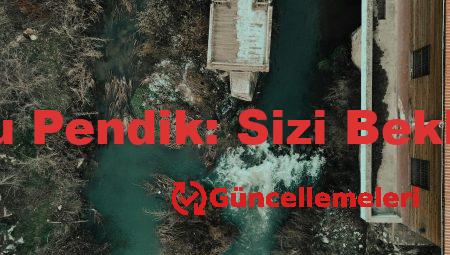 İngilizce Kursu Pendik: Sizi Bekleyen Fırsatlar