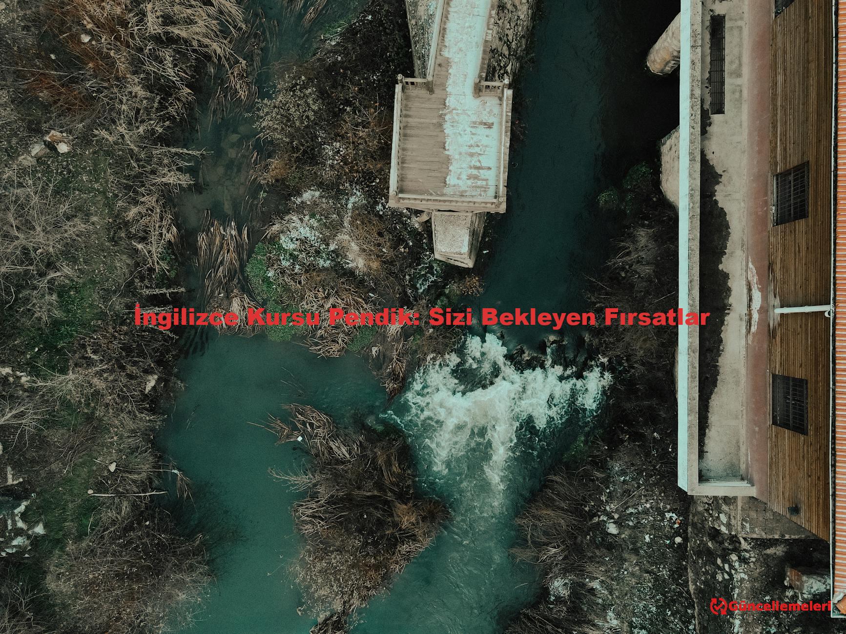 İngilizce Kursu Pendik: Sizi Bekleyen Fırsatlar