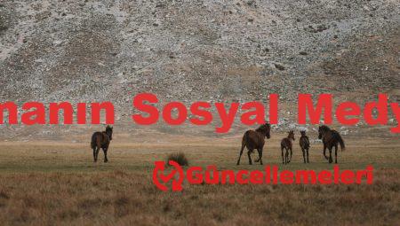 Takipçi Satın Almanın Sosyal Medya Algısına Etkisi