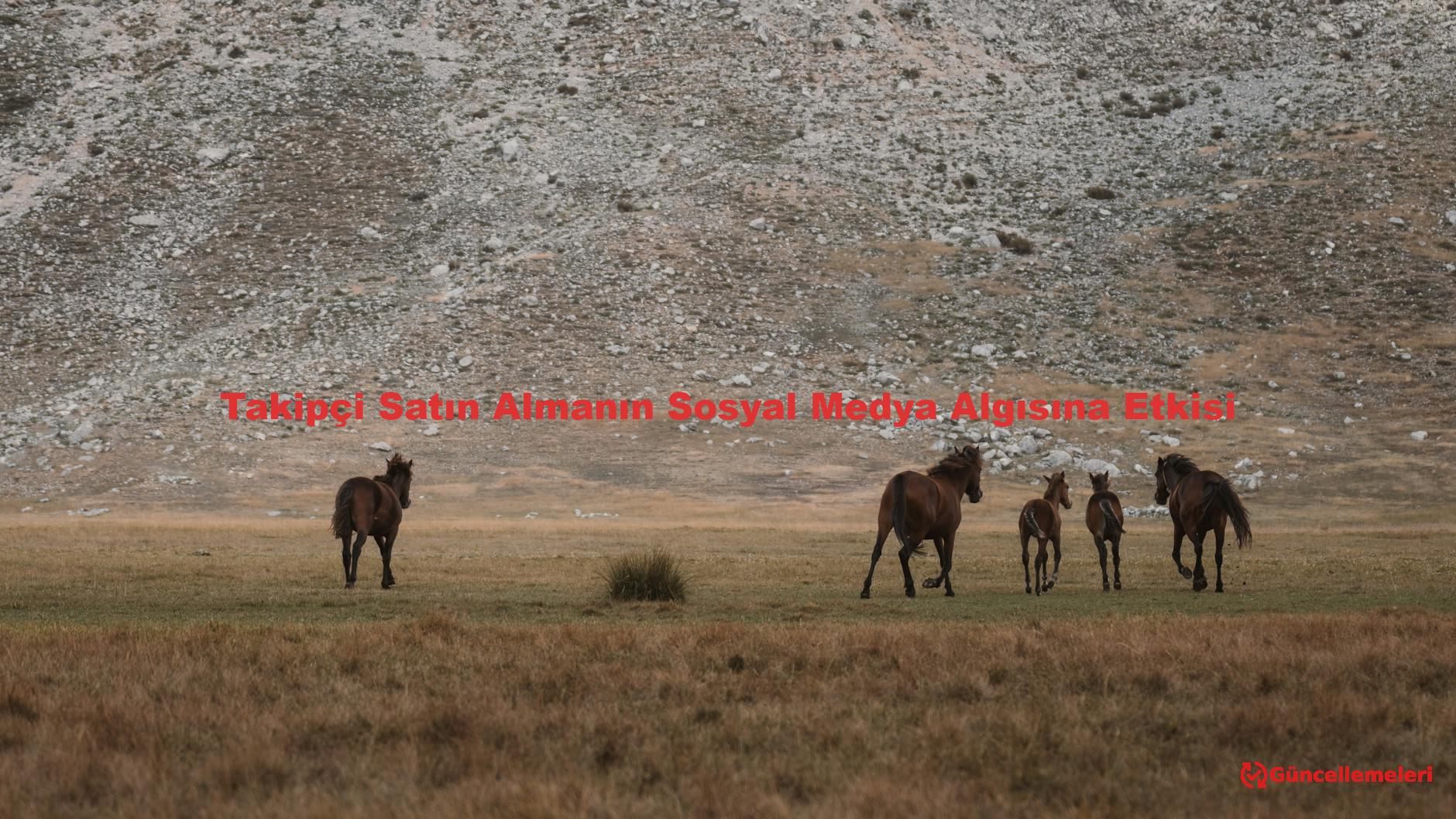Takipçi Satın Almanın Sosyal Medya Algısına Etkisi