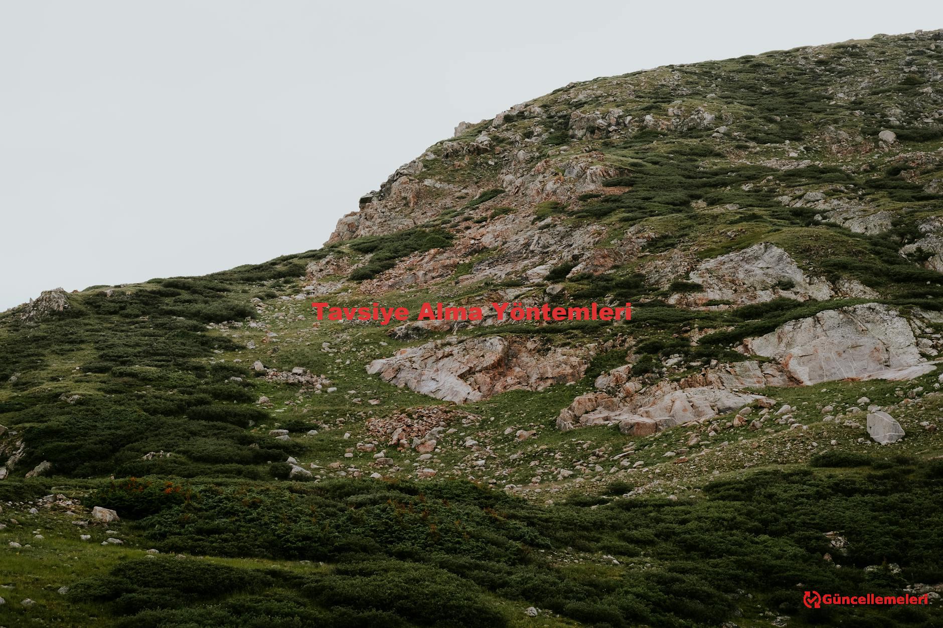 Tavsiye Alma Yöntemleri
