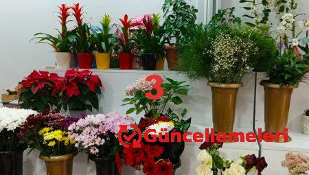 Floksia ile Çiçek Gönderiminde Kolaylık ve Güven